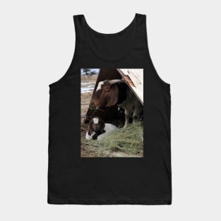 Baby and Mom Tank Top